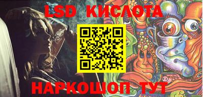 шишки Камышлов