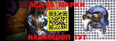 шишки Камышлов