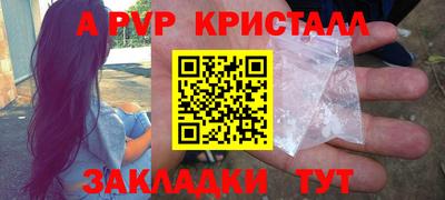 шишки Камышлов
