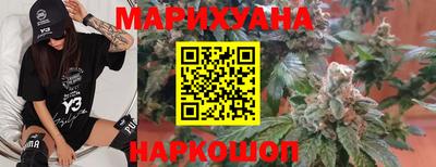 шишки Камышлов