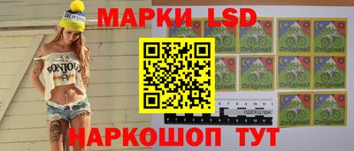 шишки Камышлов